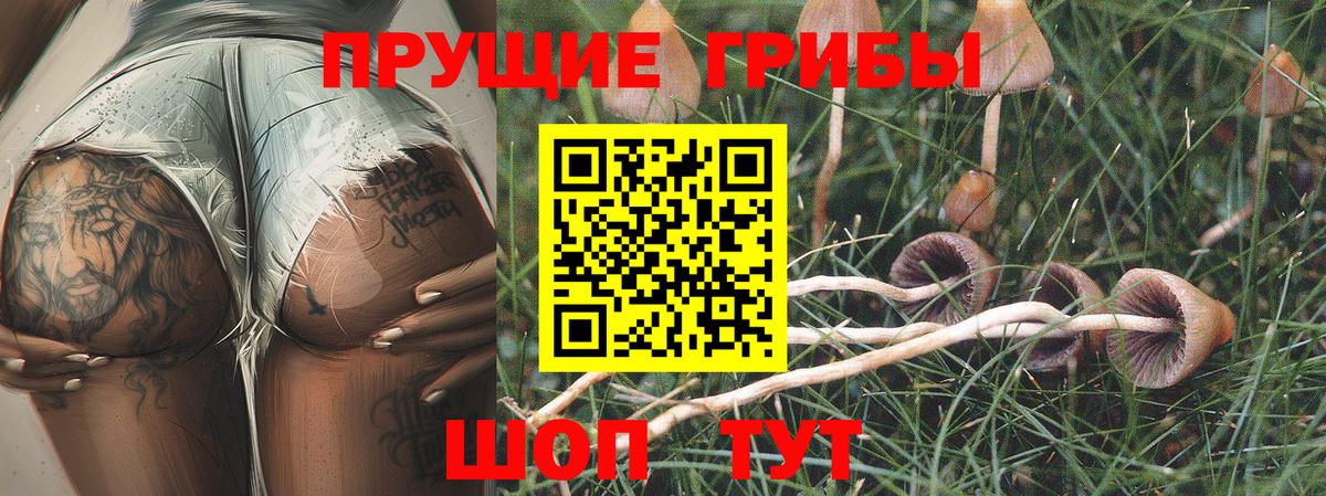 Галлюциногенные грибы Magic Shrooms Миллерово