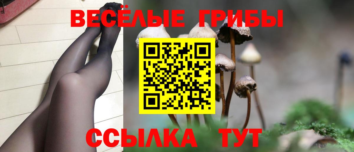 Галлюциногенные грибы мухоморы  Вход с VPN  Миллерово 